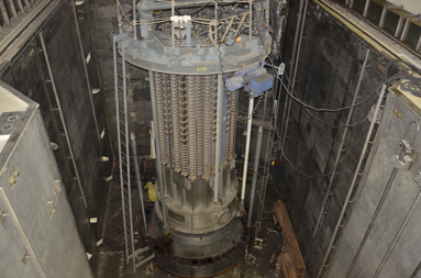 バタアン原発の原子炉格納容器上部。制御棒挿入口が見える