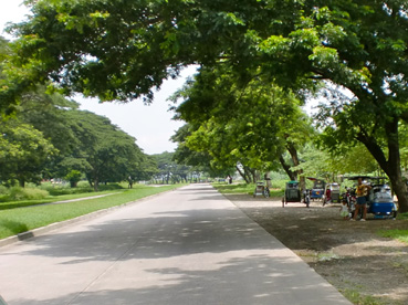 ルイシタ農園内を走る接続道。高速道開通後の交通量は1日4千台に上り、傷みが目立つようになったという