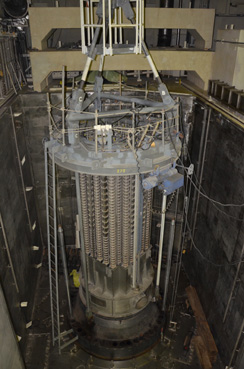 原発写真8 格納容器内に鎮座する原子炉圧力容器。制御棒挿入口が見える