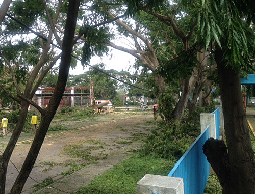 台風で倒れた工業団地内の電柱(写真中央奥)=日系企業提供
