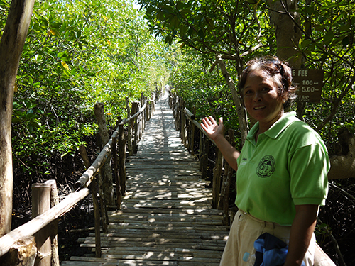 アンダビーチに続くマングローブ遊歩道=JICA平野さん提供