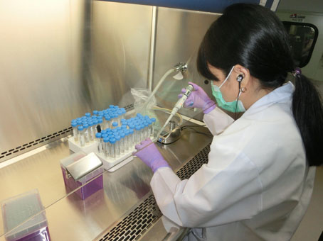 実験用の微生物を培養する研究員=20日午後5時半ごろ、首都圏マニラ市のフィリピン大学マニラ校で写す