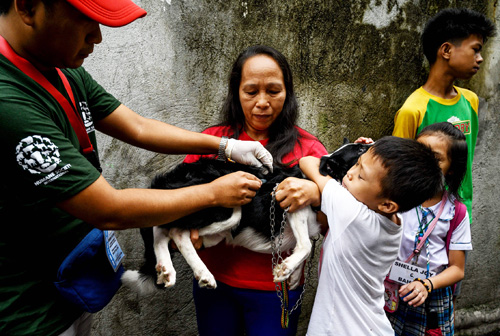 2019年7月15日にマニラ市で行われた狂犬病ワクチン接種(AFP=時事)